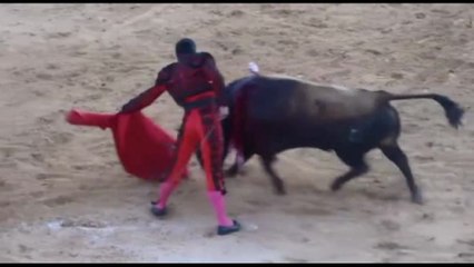 La Colombia vieta la corrida dal 2027