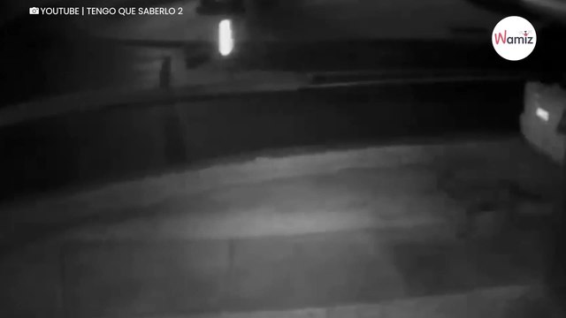 To nagranie mrozi krew w żyłach: mężczyzna ryzykuje własnym życiem, gdy agresywne psy atakują jego pupila