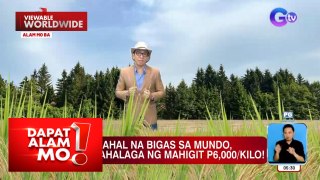 Magkano ang pinakamahal na bigas sa buong mundo? | Dapat Alam Mo!