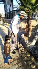 feeding ducks #dailymotion #France #Pakistan #Algeria #India #USA #Iran #entertainment #tour #fun #viral #trending #foryou #tiktok #delicious #gaming #reels