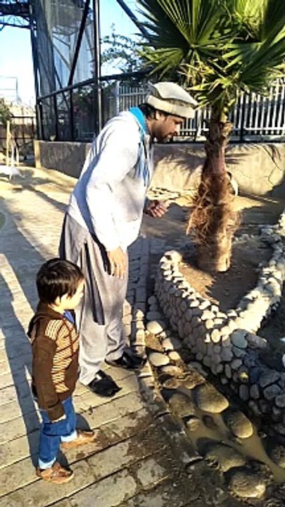 feeding ducks #dailymotion #France #Pakistan #Algeria #India #USA #Iran #entertainment #tour #fun #viral #trending #foryou #tiktok #delicious #gaming #reels