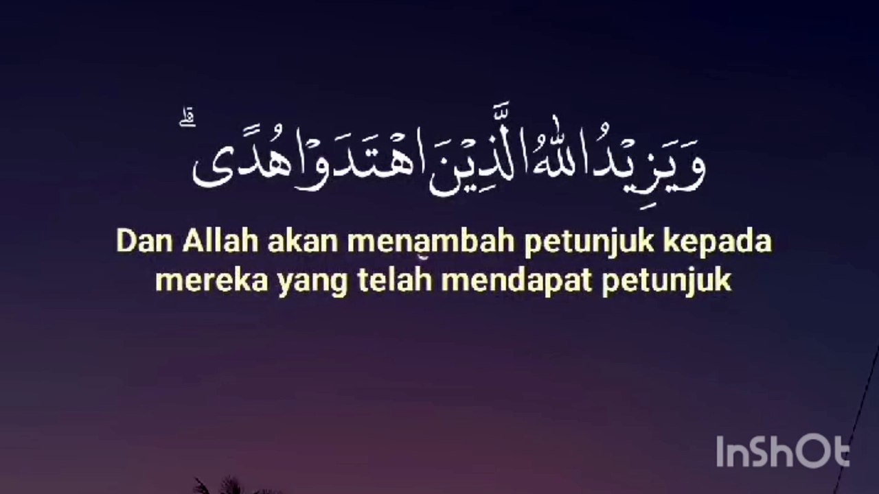 Tilawat e quran
