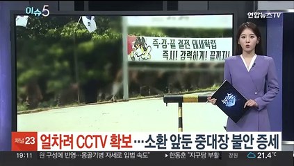 [이슈5] 법원 "최태원, 노소영에 1조 3,808억 원 재산분할" 外