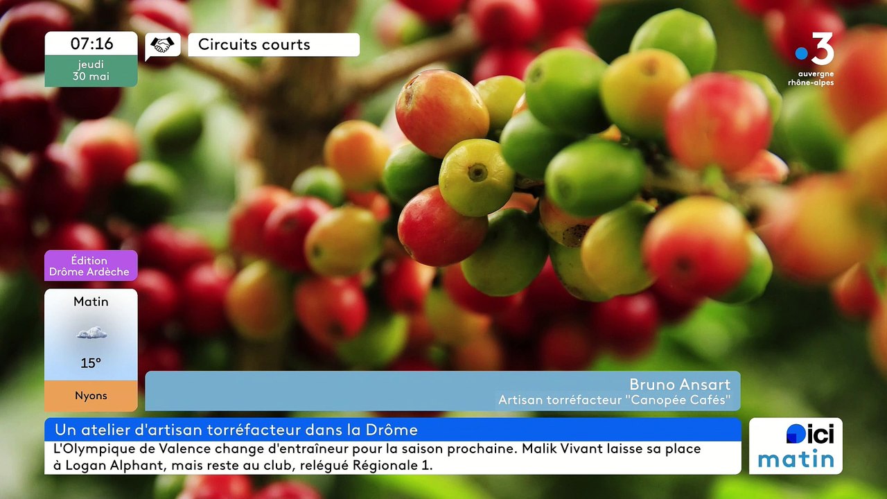 À Romans-sur-Isère, Canopée Cafés, cafés Pure Origine, bio, équitables et chocolats authentiques "Bean To Bar"