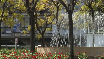 Video herunterladen: 2023 fue el segundo año más cálido en España y el sexto más seco desde 1961, según AEMET