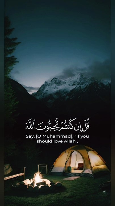 القرٱن الكريم. دواء القلوب