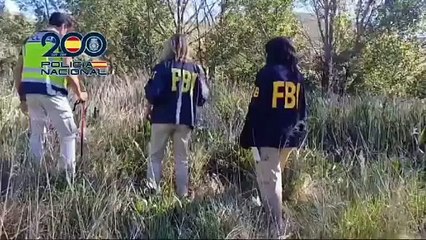 FBI, Policía Nacional, GEO y Guías Caninos buscan en Soria a una mujer supuestamente asesinada