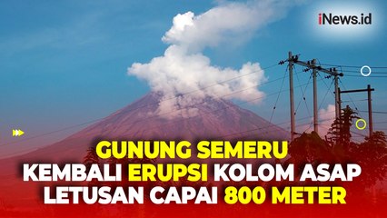 Lontarkan Kolom Asap Letusan Capai 800 Meter, Gunung Semeru kembali Erupsi Hari Ini