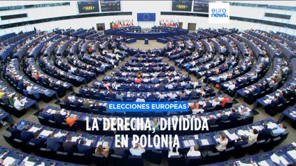 Por qué el proyecto de coalición conservadora PPE-ECR podría romperse en Polonia