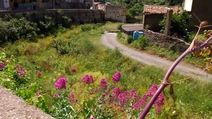 Manutenzione torrenti, il Comune chiama l'Autorita' di Bacino