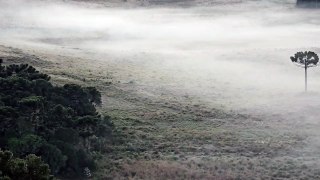 SC tem amanhecer com geada e quatro cidades com temperatura abaixo de 0º C