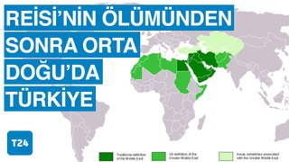 Türkiye, Orta Doğu'nun neresinde? | Batı'nın sokak hayvanları uygulamaları