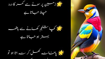 Gharalu Totka ||Urdu Tips || Totka in Urdu