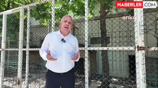 Artvin Belediye Başkanı: Köpeklerin kısırlaştırılması en önemli çözüm