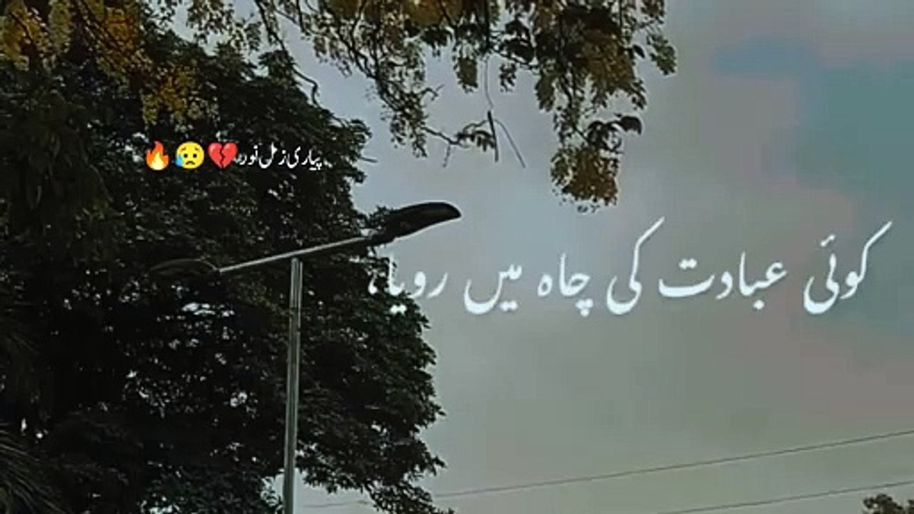 Sad poetry status | urdu poetry | heart touching poetry | piyari zimal noor |