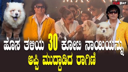 CADABOMS QINLING : ಪ್ರಪಂಚದಲ್ಲೇ ಈ ತರ ಬ್ರೀಡ್ ಬೇರೆಯವರ ಹತ್ರ ಇದ್ರೆ 10 ಲಕ್ಷ  ಕೊಡ್ತಾರಂತೆ