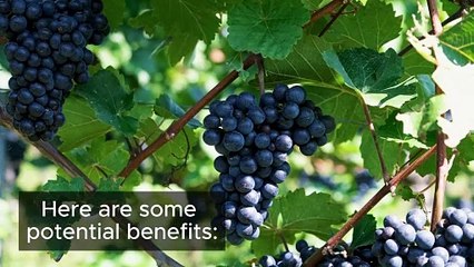 What Happens When You Start Eating Blueberrie