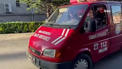 Bakın yaramaz kedinin yaptıklarına!