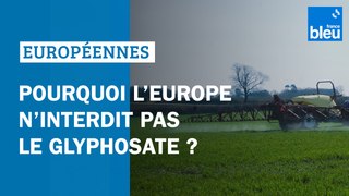Pourquoi l'Europe n'interdit pas le glyphosate ? - Élections européennes 2024