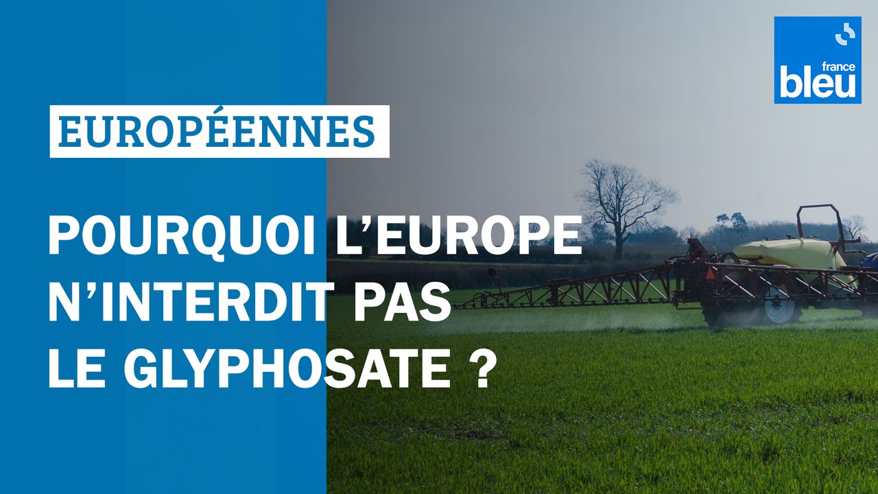 Pourquoi l'Europe n'interdit pas le glyphosate ? - Élections européennes 2024