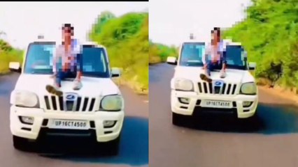 21 सेकंड के स्टंट के वीडियो पर 15 हजार 500 रुपए का जुर्माना, देखें वीडियो