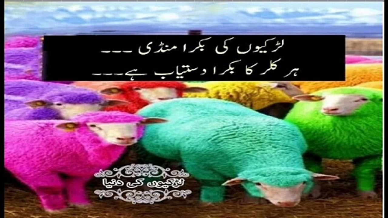 Eid ul azha funny jokes  | jokes ka pitara | urdu funny jokes