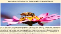 Colorado Man Benedict T Palen Jr - Ways to Attract Pollinators to Your Garden