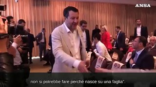 Ponte sullo Stretto, Salvini: 