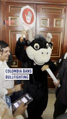 Colombia bans bullfighting