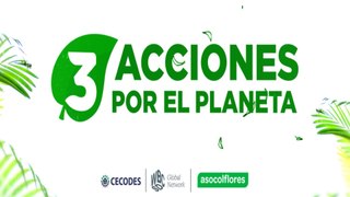 NTN24 y CECODES sellan alianza para gran cubrimiento de la cumbre de biodiversidad COP16 en Colombia