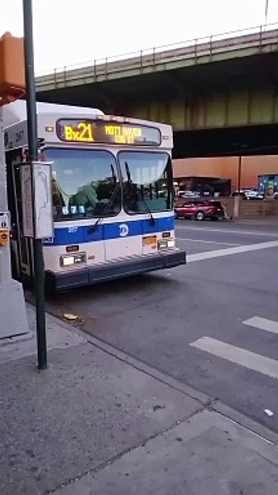 267 & 697 Bx21 @ Morris Park Ave between Taylor Ave & 180th St