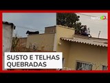 Bezerro sobe escada e fica 'preso' em cima de telhado de casa em Goiás