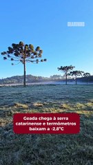 Geada chega à serra catarinense e termômetros baixam a -2,8ºC
