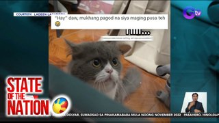 State of the Nation Part 3: Alagang persian cat na hindi tunog-pusa,kinaaliwan ng amo at ng netizens