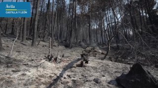 Veintitrés medios aéreos trabajan para extinguir el incendio de Ávila