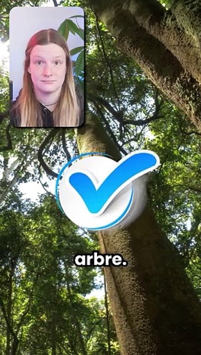 l'animal le plus bête (après l'humain peut être)
