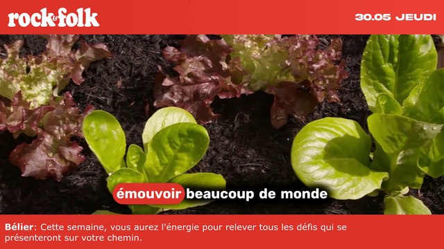 Découvrez la bande-annonce de Priscilla , l'adaptation captivante du livre Elvis et moi par Sofia Coppola