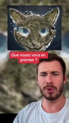 Que voyez vous ? (Exclu Dailymotion)