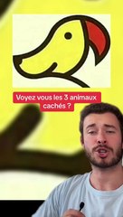 Trouver les 3 animaux (Exclu Dailymotion)