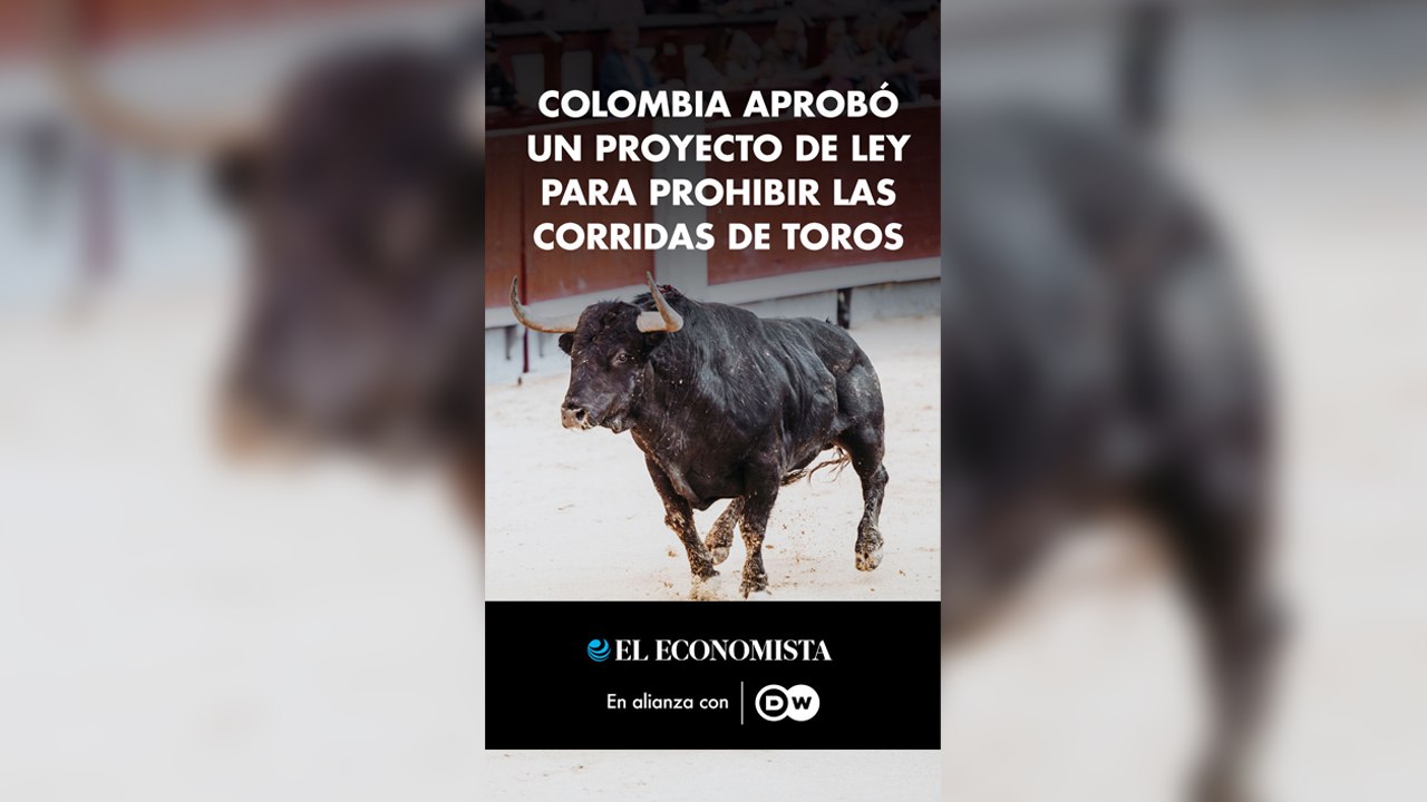 Colombia aprobó un proyecto de ley para prohibir las corridas de toros ...