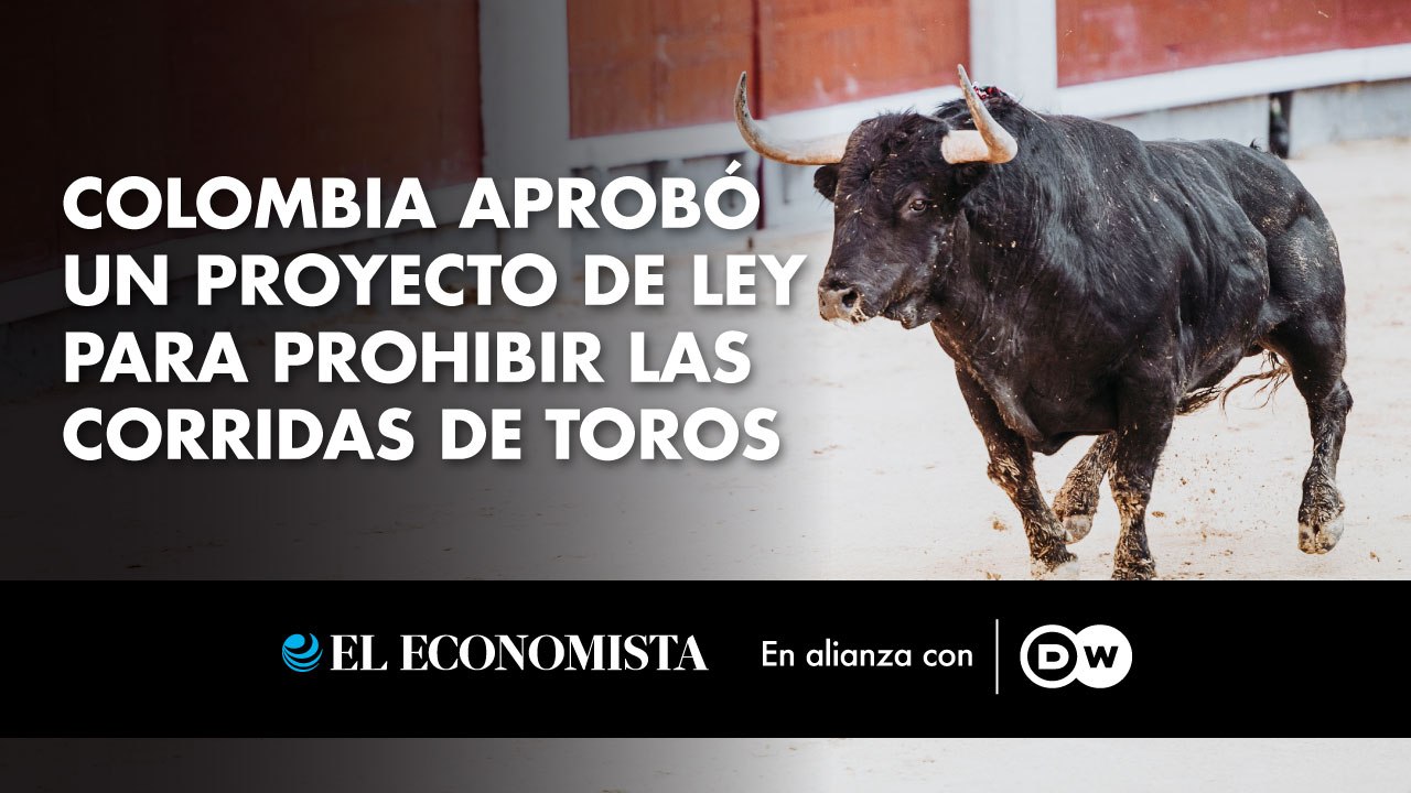 Colombia aprobó un proyecto de ley para prohibir las corridas de toros ...