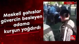 İstanbul'da maskeli şahıslar, güvercin besleyen adama kurşun yağdırdı