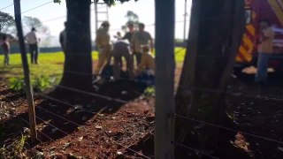 Idoso leva choque elétrico, cai de árvore e sofre suspeita de fratura na coluna