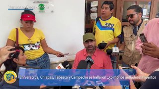 Más de 100 monos aulladores perdieron la vida en Veracruz, Chiapas y Tabasco