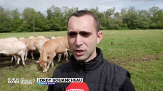 Agriculture : Jordy Bouancheau, éleveur de 180 bovins, gagne 850 euros par mois