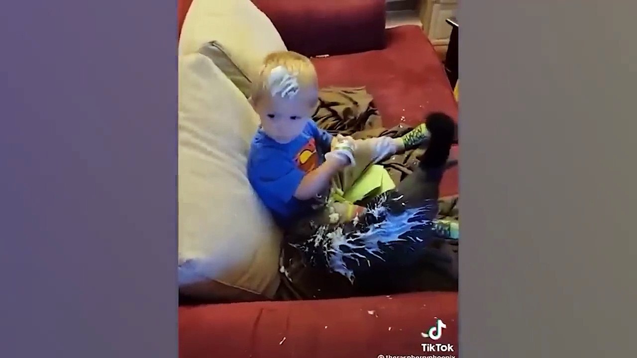 Funniest Animals  New Funny Cats and Dogs Videos  #154