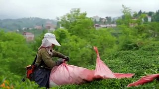 Özgür Özel'den 'çay' mitingi için video paylaşımlı çağrı