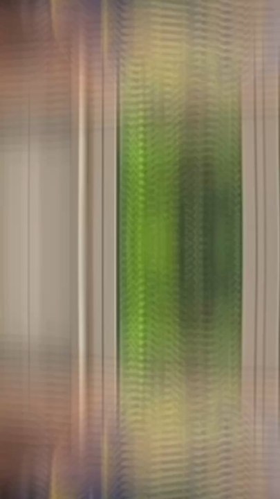 Esprit MMA, la chaîne pour progresser en MMA, JJB, Boxe thaï