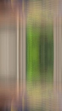 Esprit MMA, la chaîne pour progresser en MMA, JJB, Boxe thaï