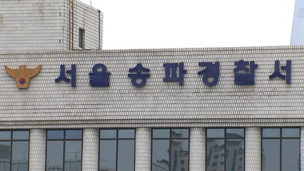"사생활 폭로" 차두리가 고소한 여성 오늘 경찰 조사 / YTN